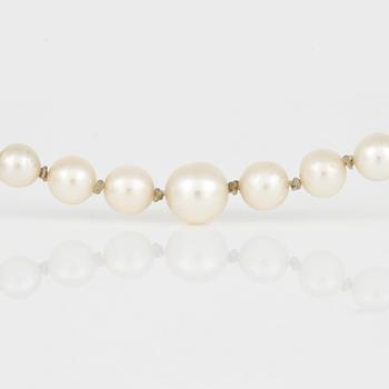 HALSBAND, med odlade pärlor och silverlås.