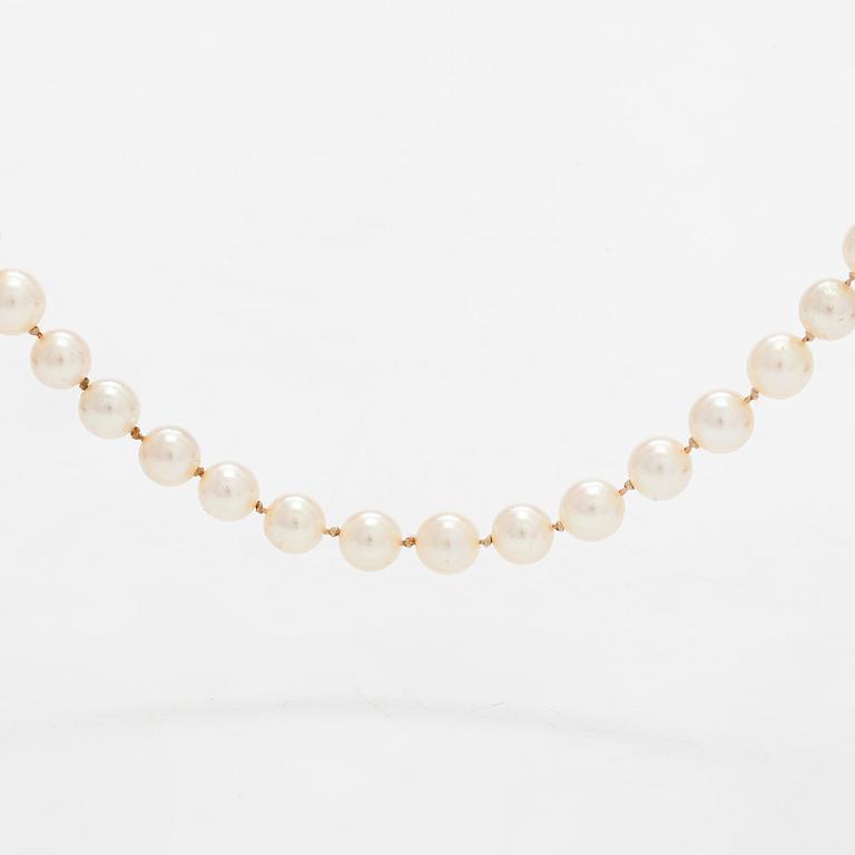 Helminauha, viljeltyjä helmiä.