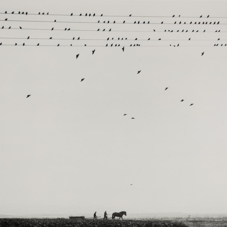 Pentti Sammallahti, "Krakova, Puola, 2005".