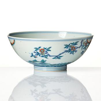 A doucai carp bowl, Qing dynasty, early 18th Century.