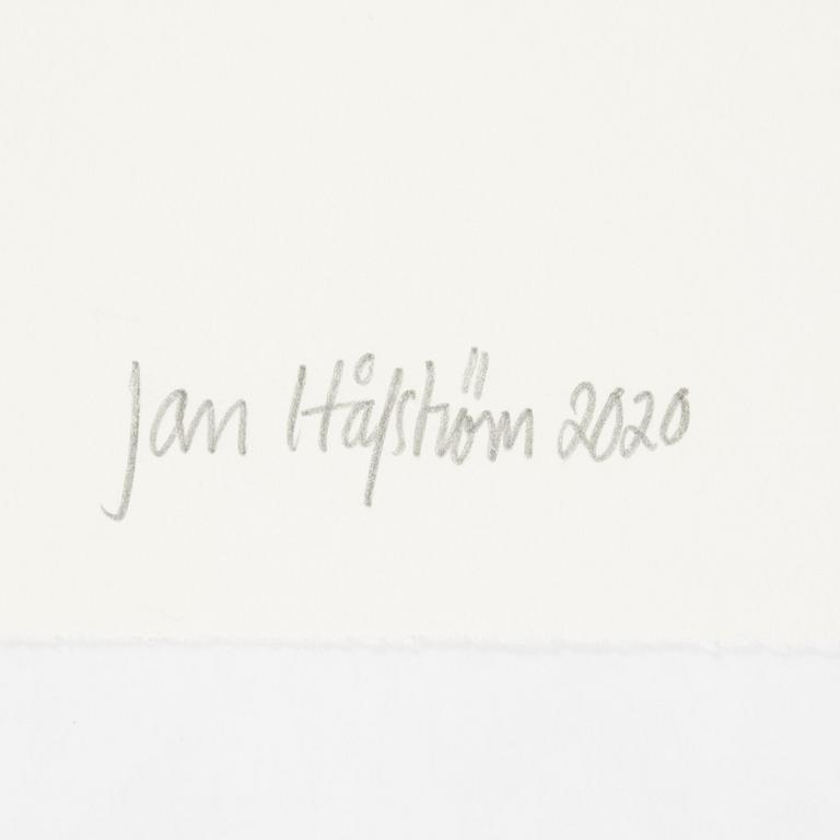 Jan Håfström, etching in colours, 2020, signed 45/50.