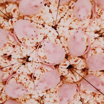 STEFAN HOLM, fotografi, signerat och daterat -96 samt numrerat 1/25 a tergo.