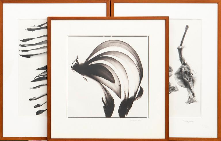 Ingvar Eriksson, photographs 3 pcs Untitled.