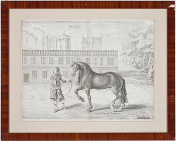 ABRAHAM VAN DIEPENBEECK, gravyrer, 2st, 1600-tal.