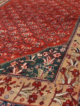 ANTIQUE QASHQAI. 267,5 x 146 cm.
