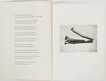 Curt Asker,/Wallace Stevens "Elva dikter".