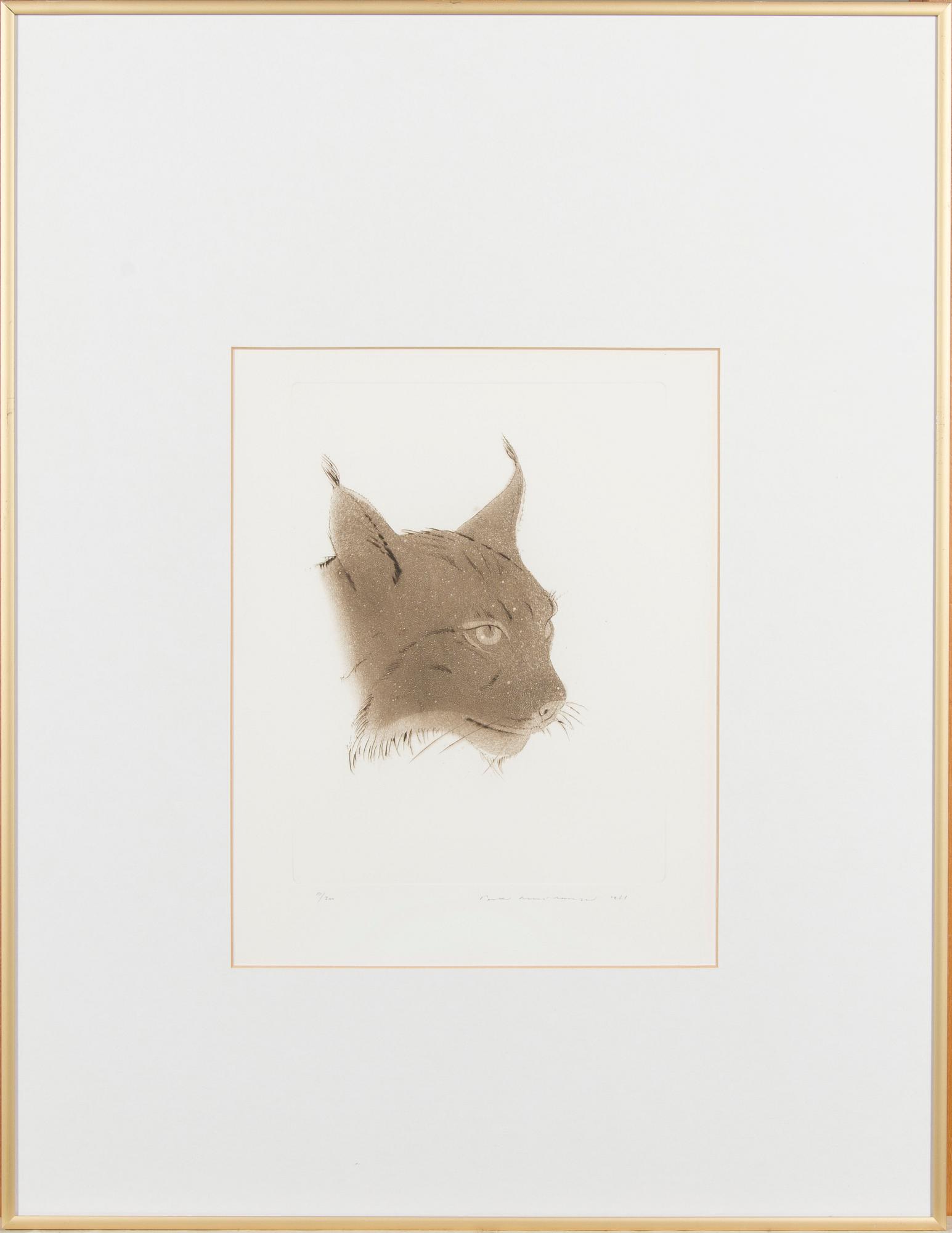 Pentti Lumikangas, Ilves.