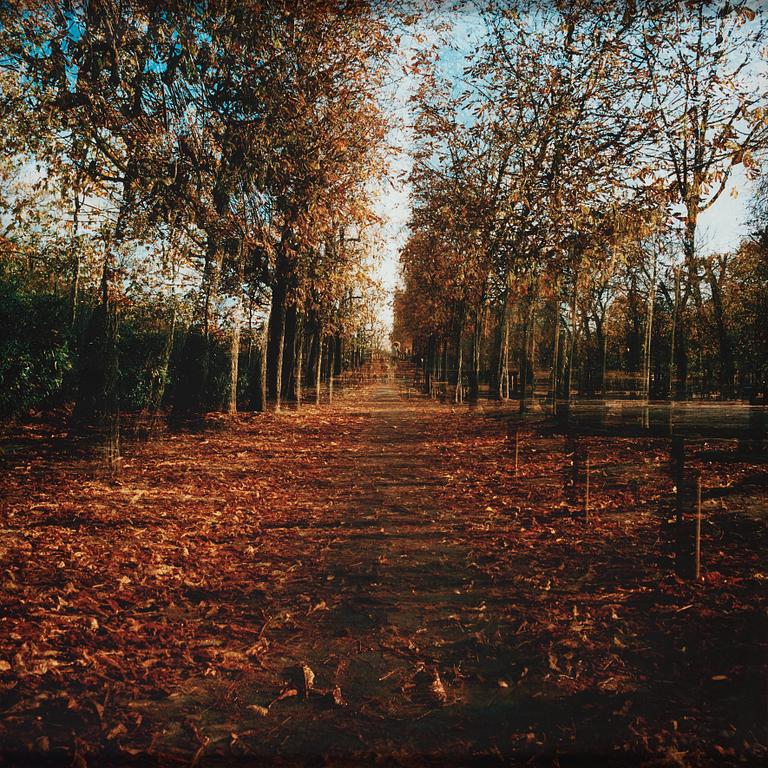 Marie Andersson, "Inferno x 3 - Luxembourg trädgården", 2010.