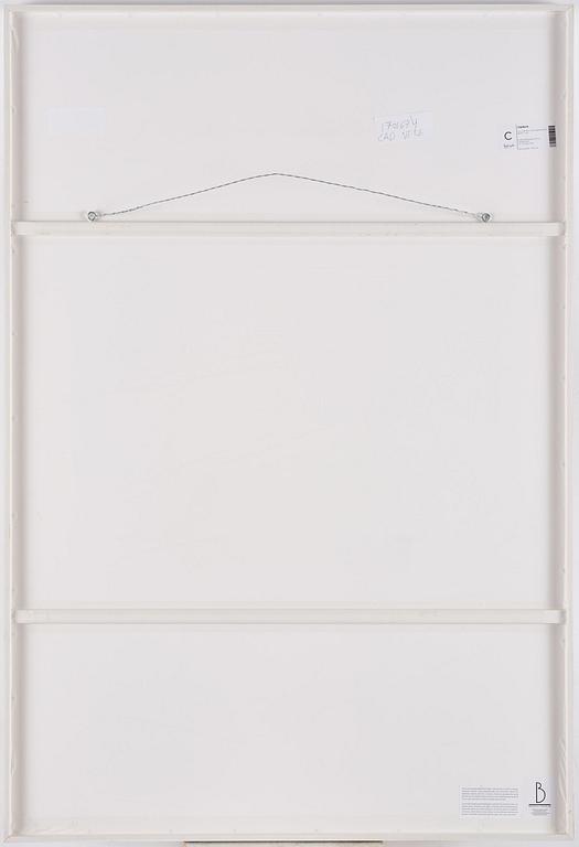 Luc Tuymans, "Der Diagnostische blick V".