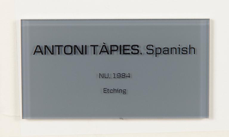 Antoni Tàpies, "Nu".