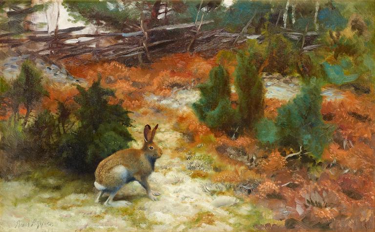 Bruno Liljefors, Autumn landscape with hare.