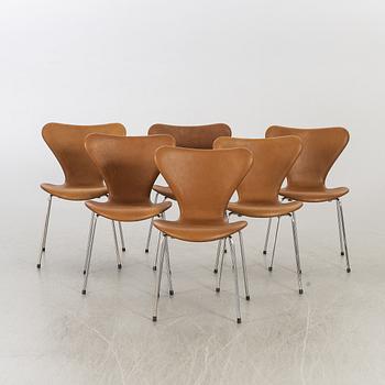 SIX "SERIE 7" CHAIRS BY ARNE JACOBSEN FOR FRITZ HANSEN.
