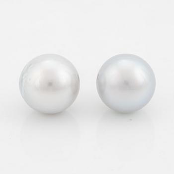 Cultured South sea pearl earrings.