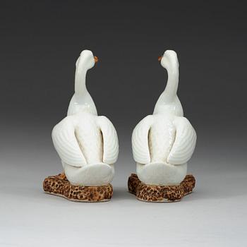 A pair white glazed ducks, early 20th century.