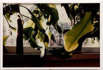 Marianna Uutinen, "Morning".