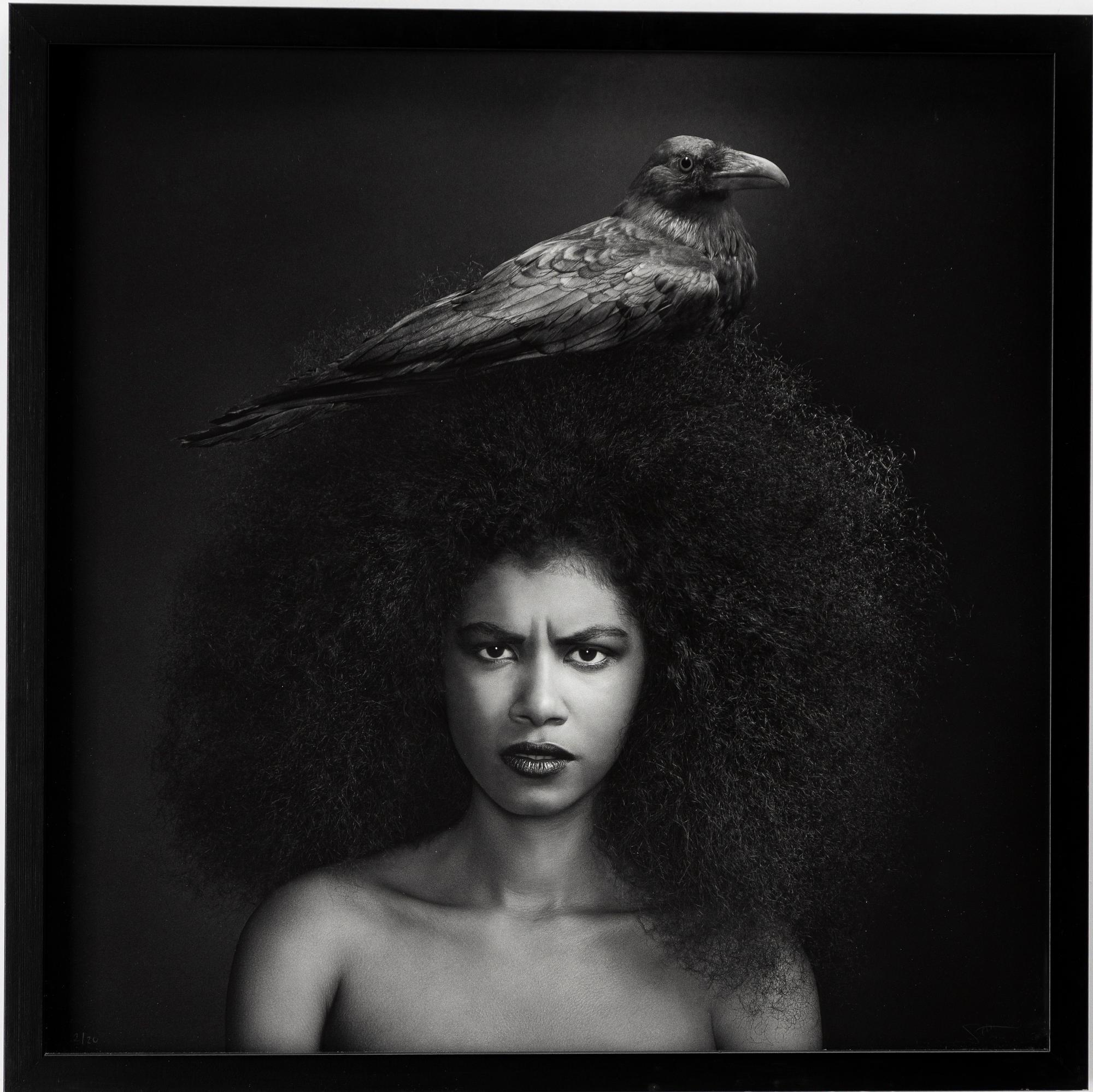 Sonja Hesslow, "Fly Away My Anger",2014.