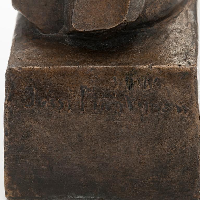 Jussi Mäntynen, Observing Polar Bear.