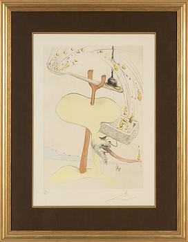Salvador Dalí, drypoint coloured with stencil, 1975. signed 29/300.