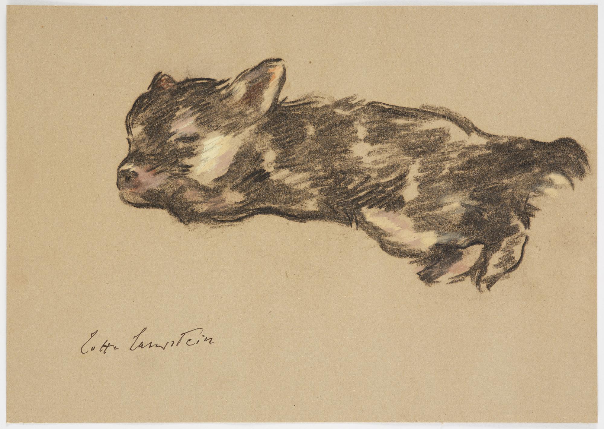 Lotte Laserstein, Sovande hundvalp.