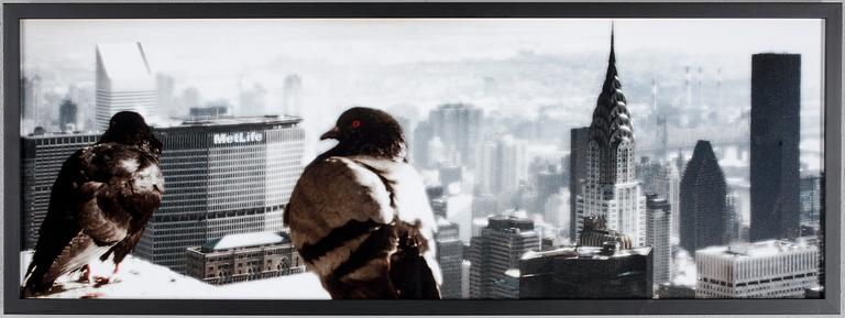 PER-ÅKE PERSSON, fotografi, signerad o New York 2010. Numr 3/10.