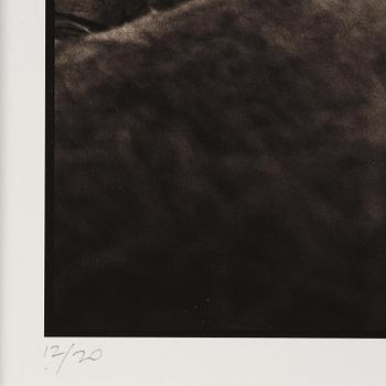 Nick Brandt, "Lioness with Cubs Under Tree, Serengeti, 2004.".