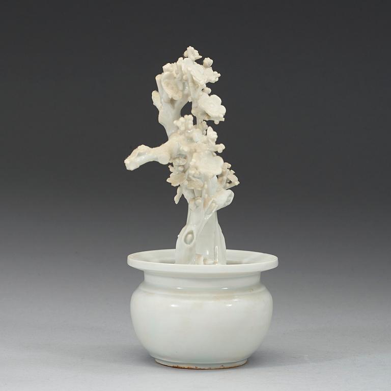 A blanc de chine miniature garden pot with a plant, Qing dynasty (1664-1912).