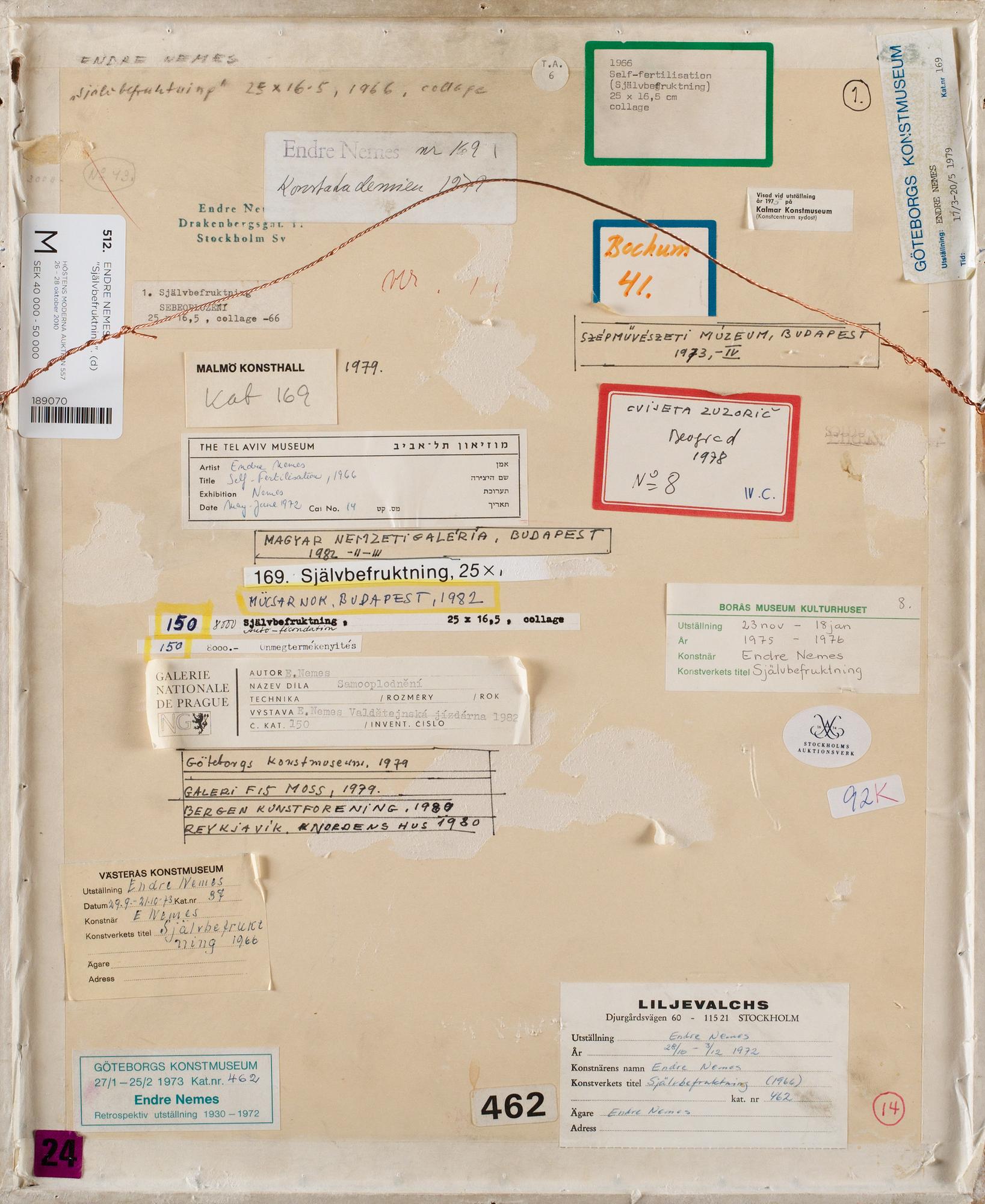 Endre Nemes, "Self-fertilisation (Självbefruktning)".