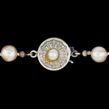 COLLIER, barocka saltvattenspärlor, lås av silver med pärla. 1900-talets mitt.