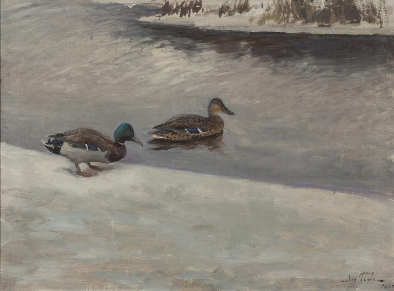 Nils Tirén, Gräsandspar vid vak.