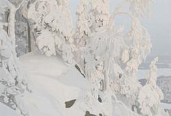 Nordic Light F709