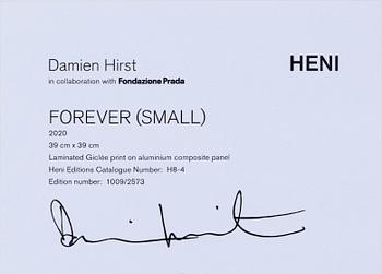 Damien Hirst, 'Forever (Small)'.