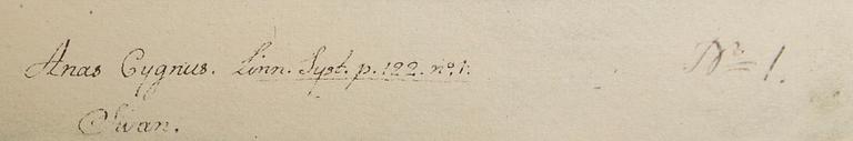 Olof Rudbeck dy, bok + planchverk "Svenska fåglar".