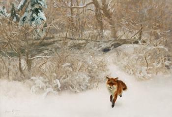 697. Bruno Liljefors, Fox in a winter landscape.