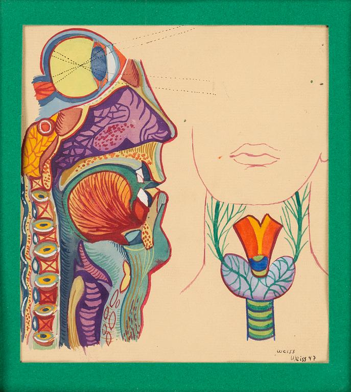 PETER WEISS, two gouache on paper, signed Weiss and signed and dated Weiss 47.