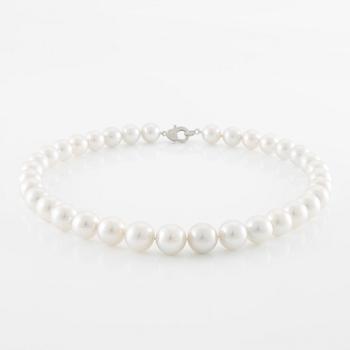 Necklace, with cultured South Sea pearls, clasp 14K white gold set with small brilliant-cut diamonds.