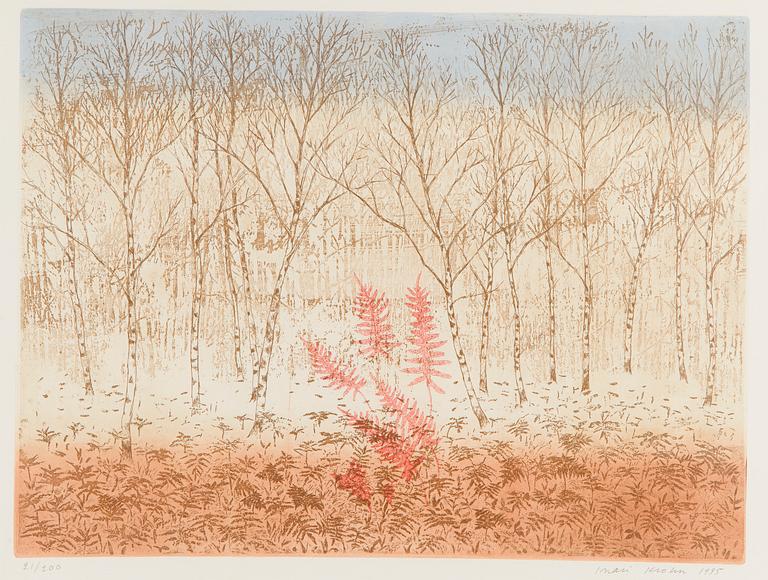 Inari Krohn, Kevätkoivikko.