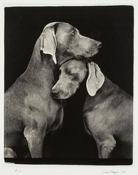 William Wegman, "Friends".