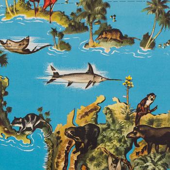 SKOLPLANSCH, Sydamerika. Seietz 1900-talets andra hälft.