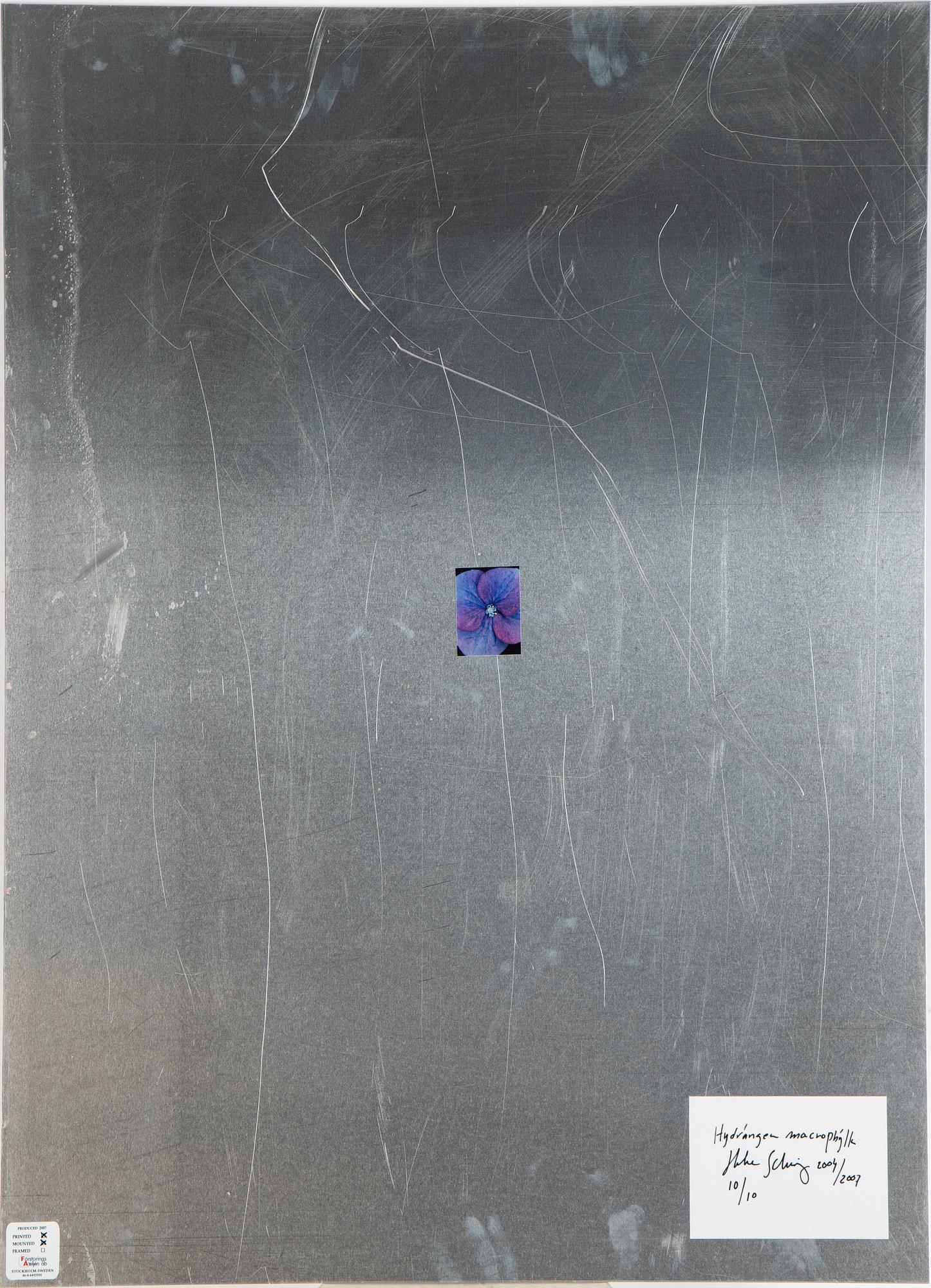 Helene Schmitz, "System och passion2, 4 c-print mounted on aluminum, 2004/2007, signed 10/10.