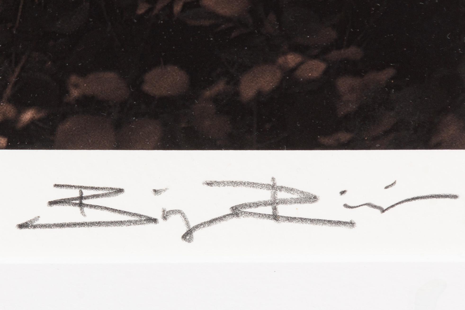 Bingo Rimér, Victoria Zorn.