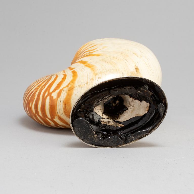 THEODOR JORTZ. A silver and shell bowl. Skänninge, 1826.