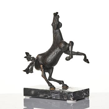 Sergio Capellini, stegrande häst.