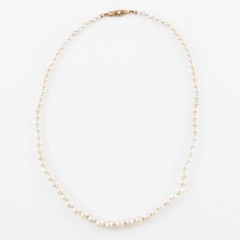 Necklace of cultured pearls, clasp 18K gold.