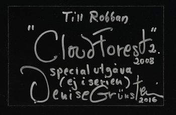 Denise Grünstein, "Cloud Forests".