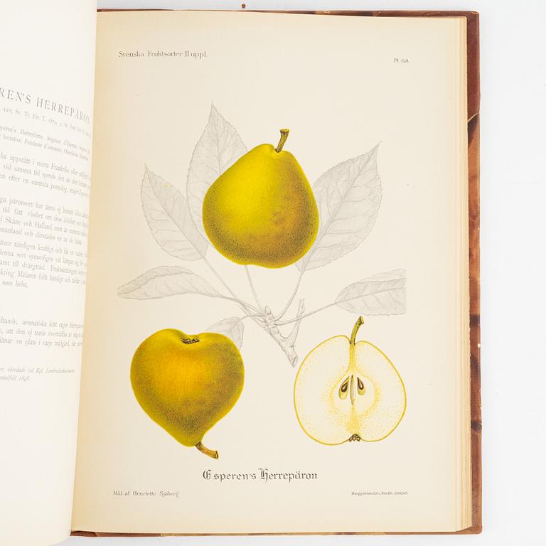 Gustaf Lind, bokverk, "Svensk frukt", samt Axel Pihl & Jakob Eriksson "Svenska Fruktsorter".