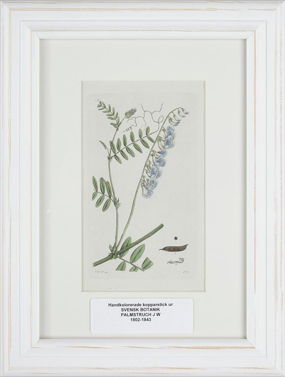 JOHAN WILHELM PALMSTRUCH, 6 st, handkolorerade kopparstick, 1800-talets första hälft.