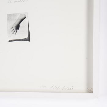 Ann-Sofi Sidén, silkscreen and pencil signed and ed 14/30.