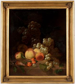 326. Joseph Rhodes, Still life with fruits, grapes and a dead bird.