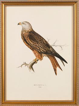 LITHOGRAPHS, 4 pcs, after Wilhelm von Wright and Bror Hallberg. A. Börtzell, Stockholm.