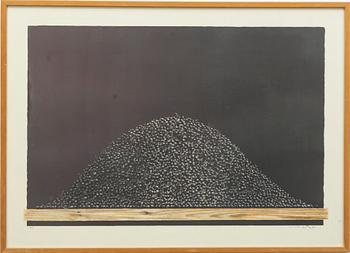 Philip von Schantz, "Svart".